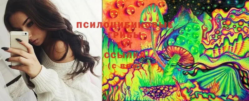 Псилоцибиновые грибы Magic Shrooms  купить закладку  Менделеевск 